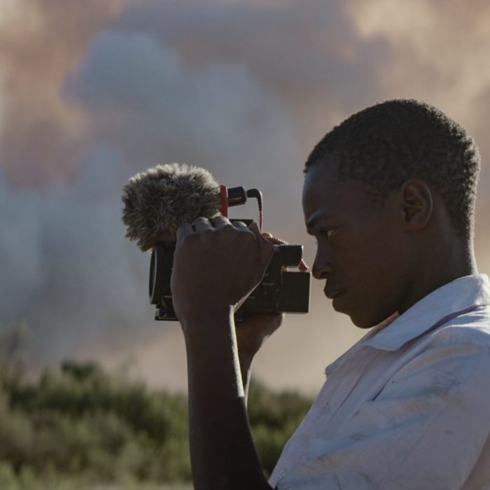 Searching for Amani