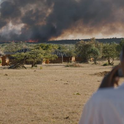 Searching for Amani